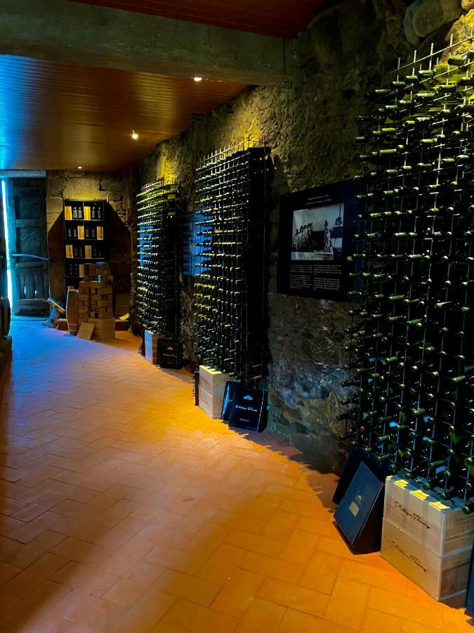 Casa Dos Barros Winery By Vintage Theory