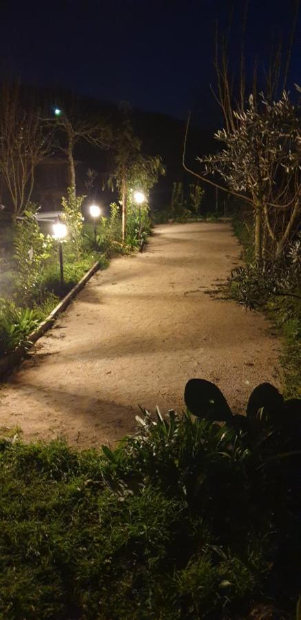 Casa Belavista - Charming - Adults Only Penela