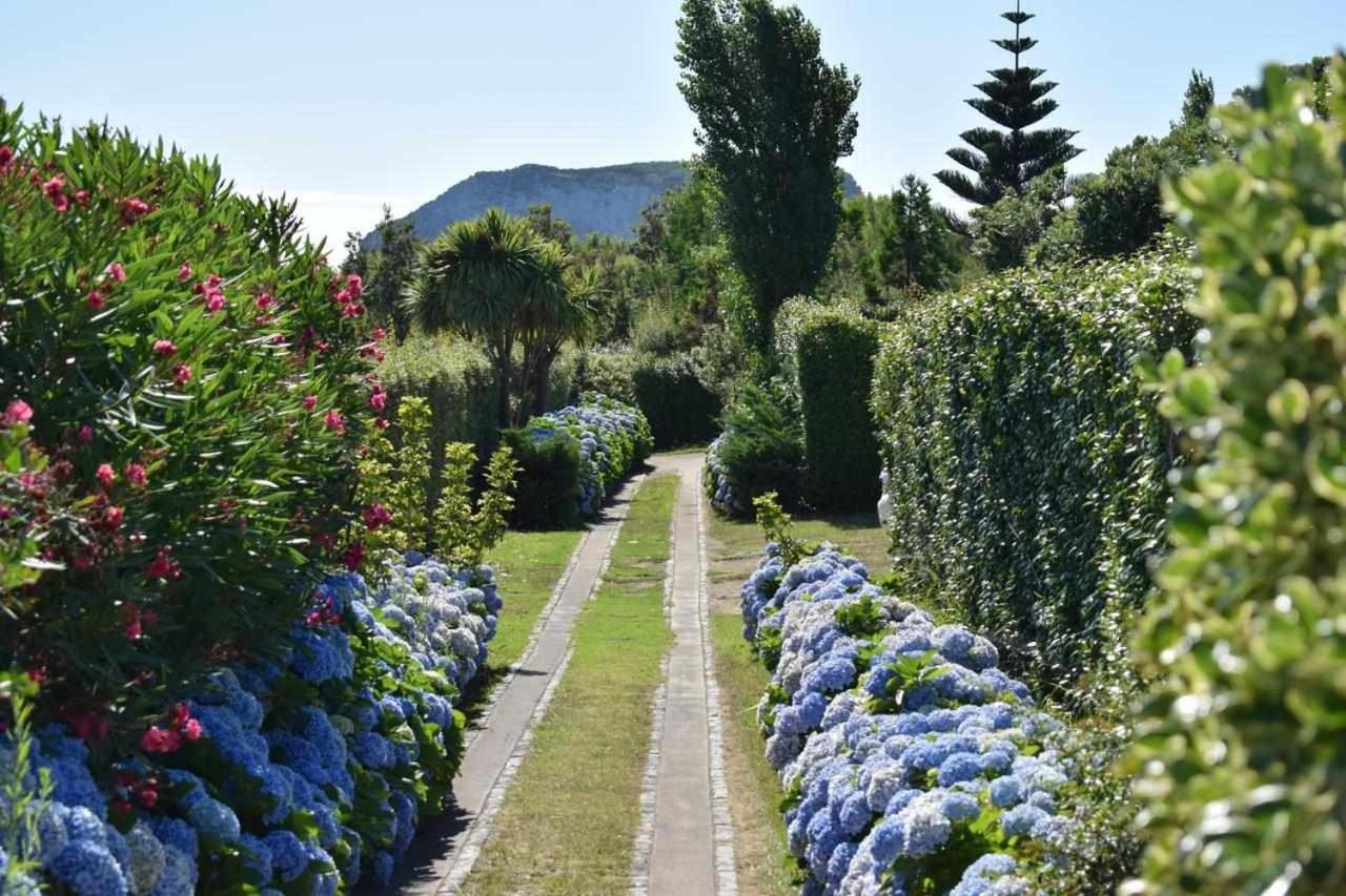 Quinta Da Meia Eira Estadia no rancho Castelo Branco (Faial)