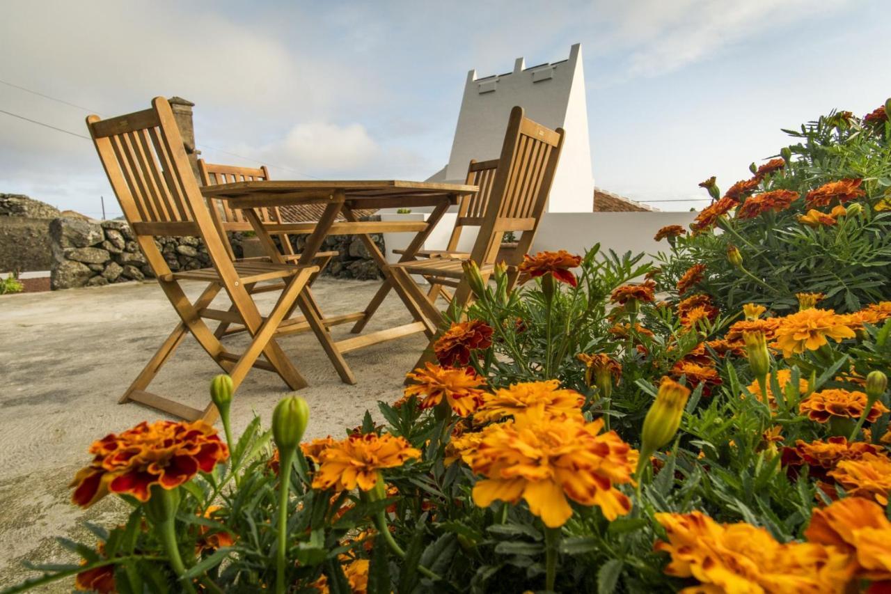 Casa Da Trigueirinha Holiday home