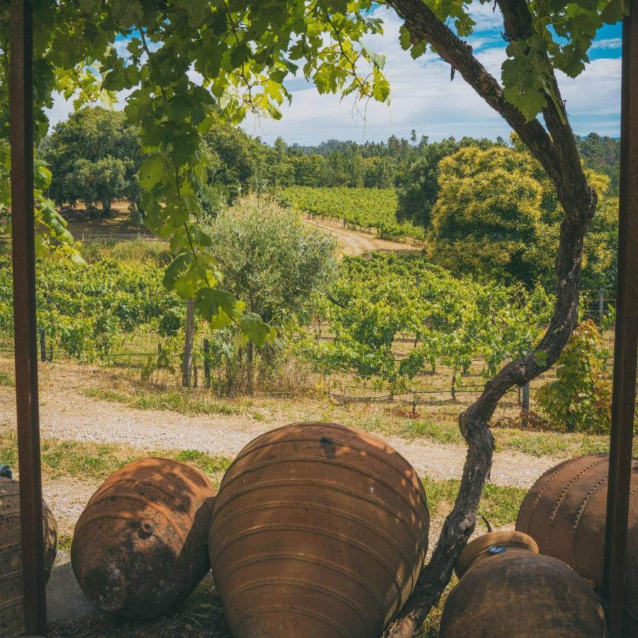Do Bonjardim Farm stay CENTRE PORTUGAL