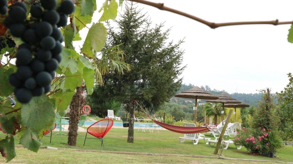 Country house Quinta De Cima *