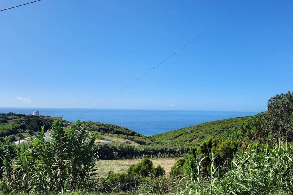 Sunflower Sea View With Magnificent Terrace In Serra Da Pescaria, - Portugal