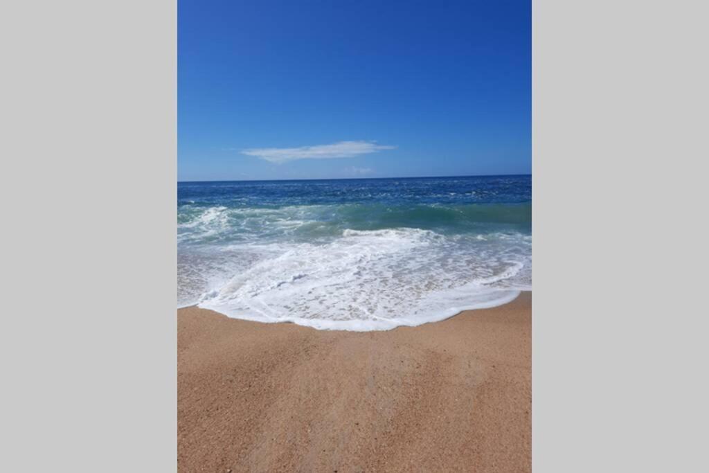 Sunflower Sea View With Magnificent Terrace In Serra Da Pescaria, - Portugal