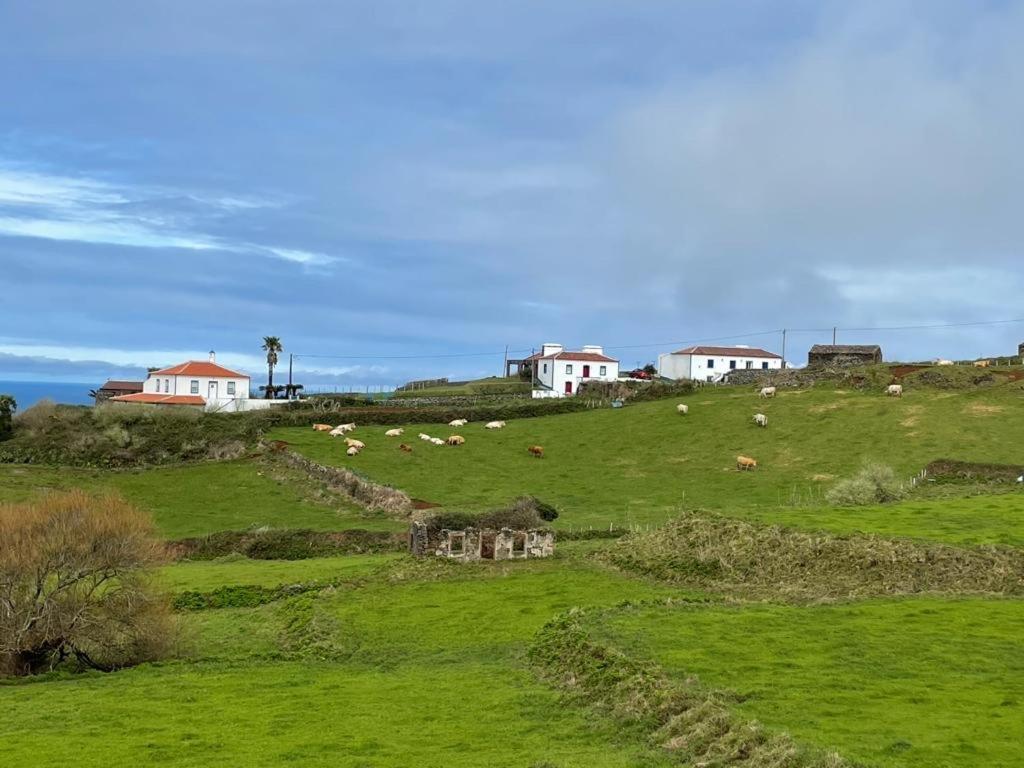 Villa Mariense *