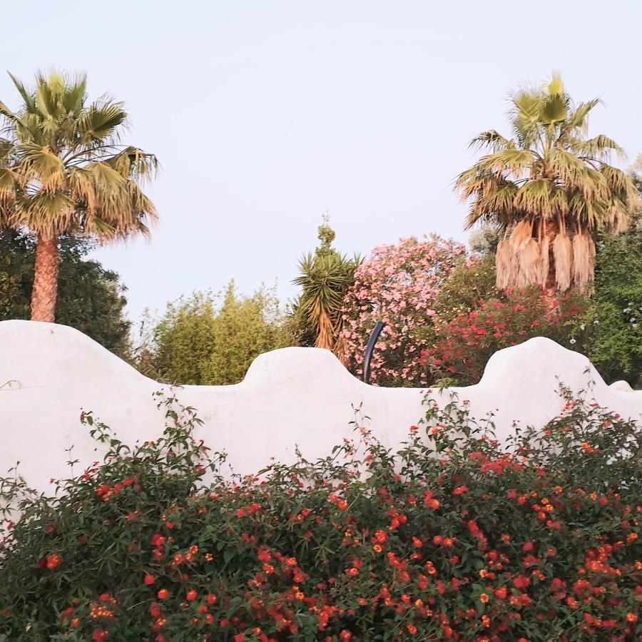 Farm stay Quinta Dos Cochichos Olhao
