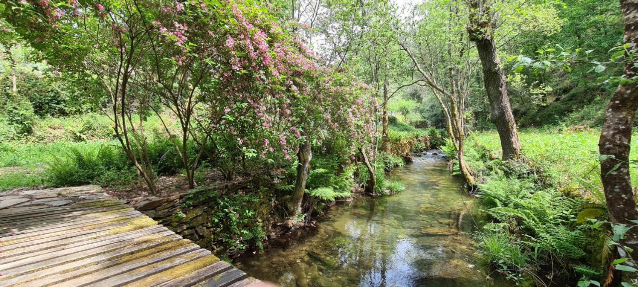 Moleiro Da Costa Ma Guest house Sever do Vouga