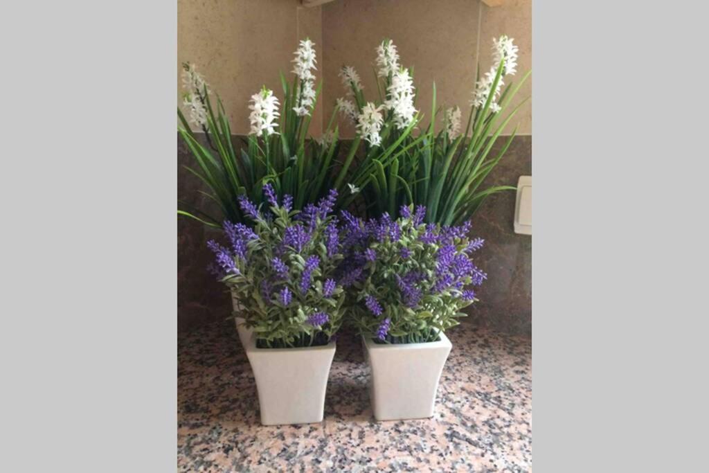 Beautiful Palames Sesimbra