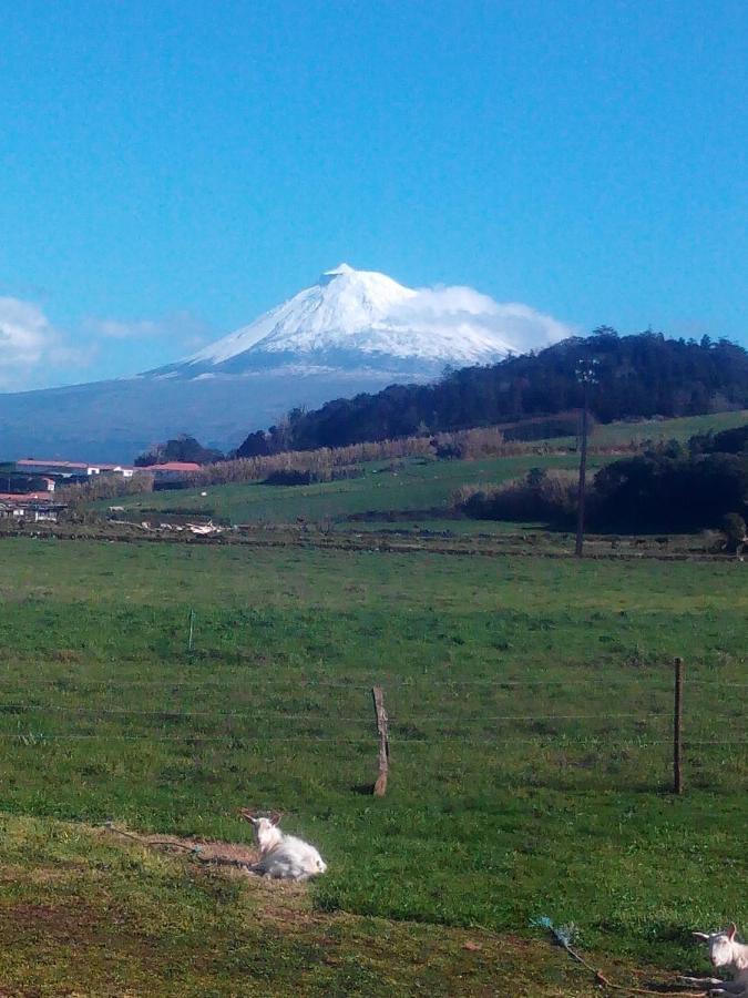Quinta Do Vale * Horta (Azores)