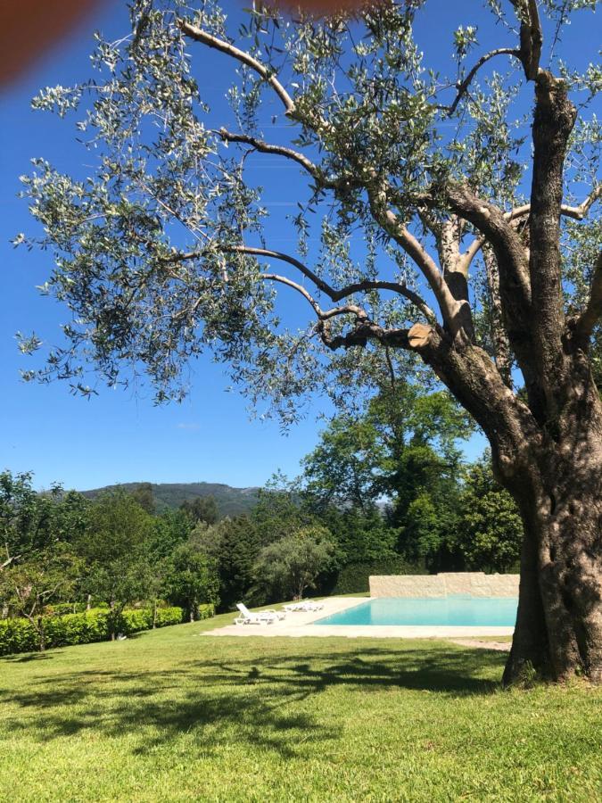 Quinta De Barbedo - *
