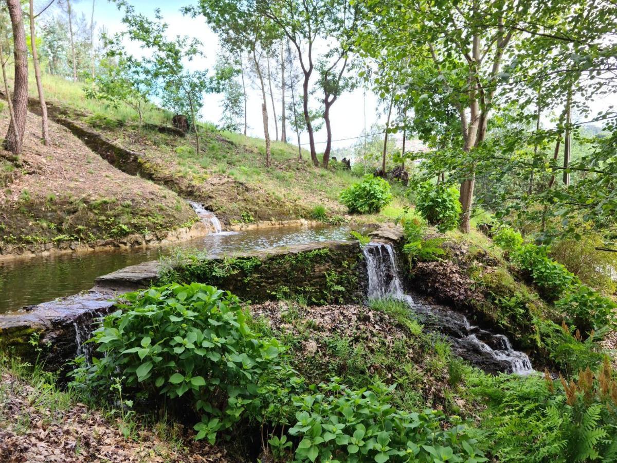 Tapada De Sao Domingos