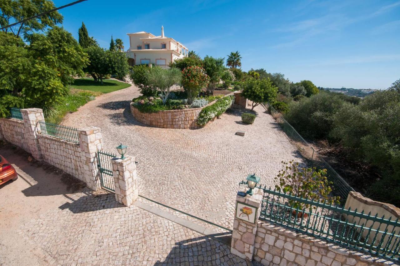 Villa Nenufa By