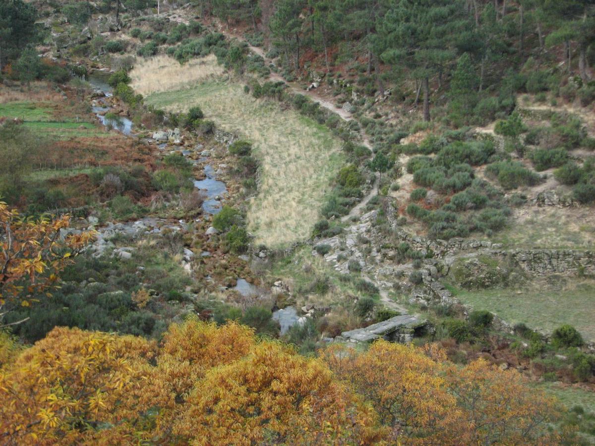 Country house Sambuc'asa - Serra Da Estrela *