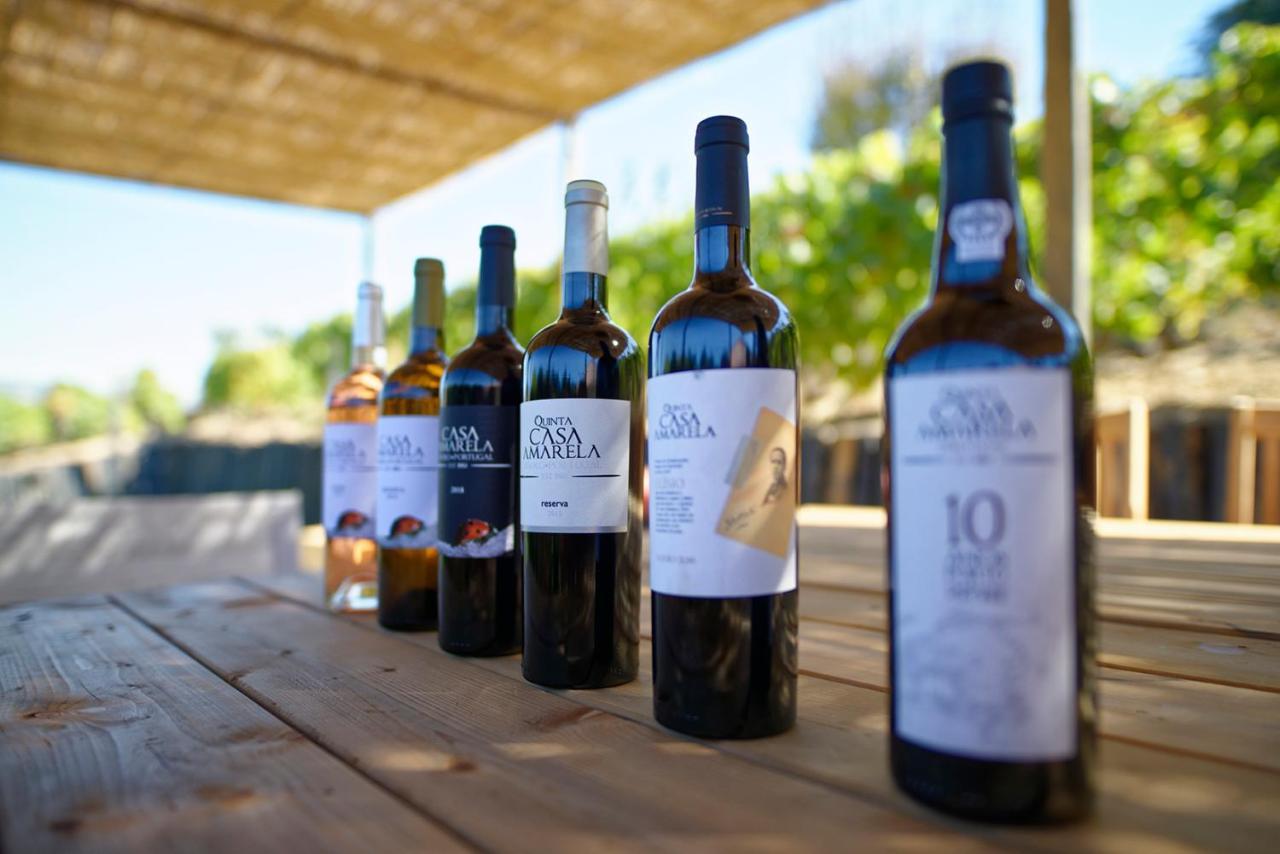 Quinta Da Casa Amarela- Casas Da Quinta - Turismo Em Espaco Rural