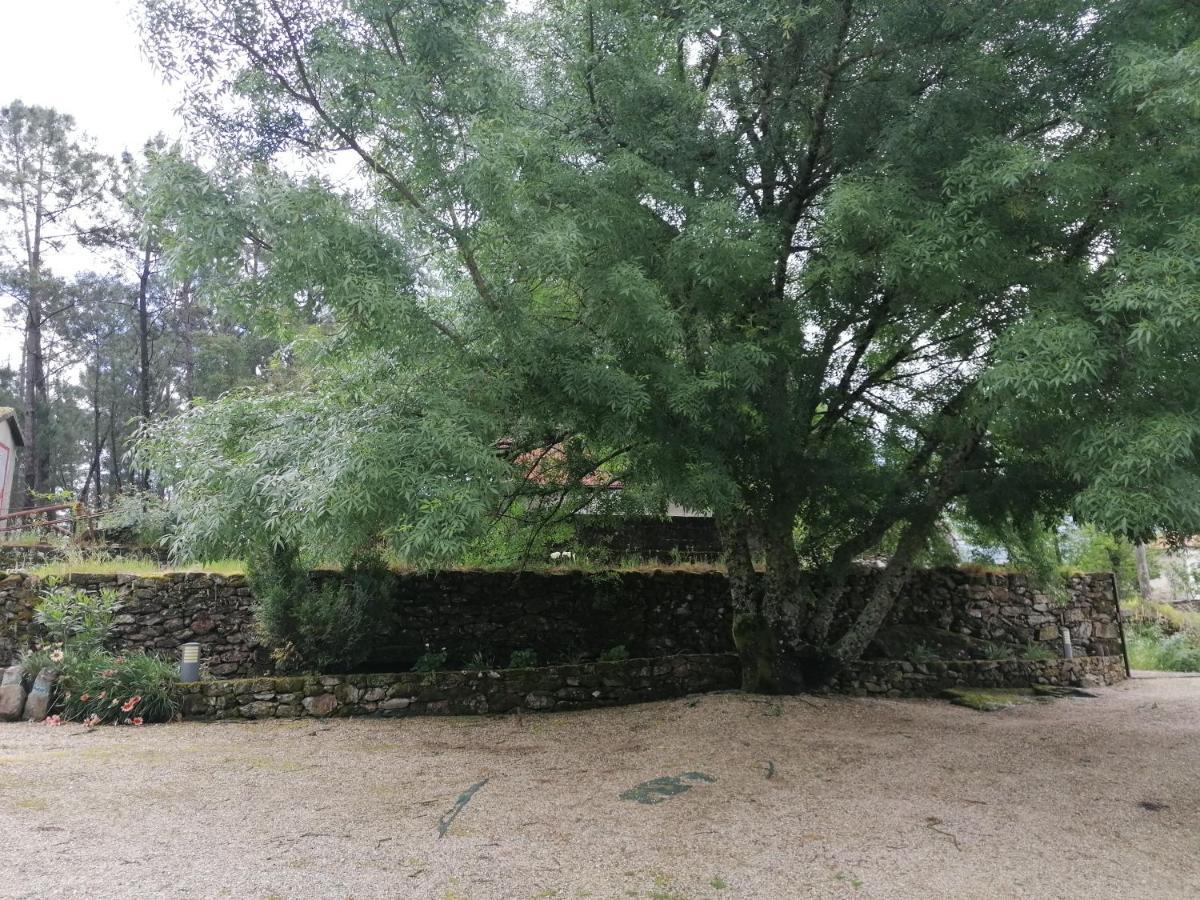 Casa Das Country house Melgaco