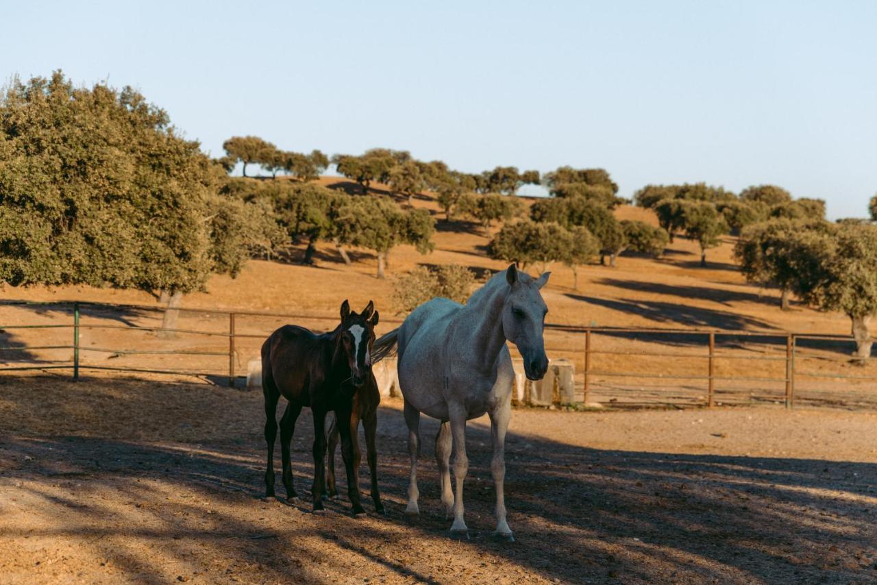 Resort Herdade Da Caniceira Ervedal