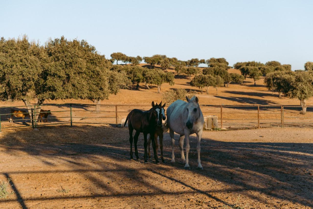 Resort Herdade Da Caniceira