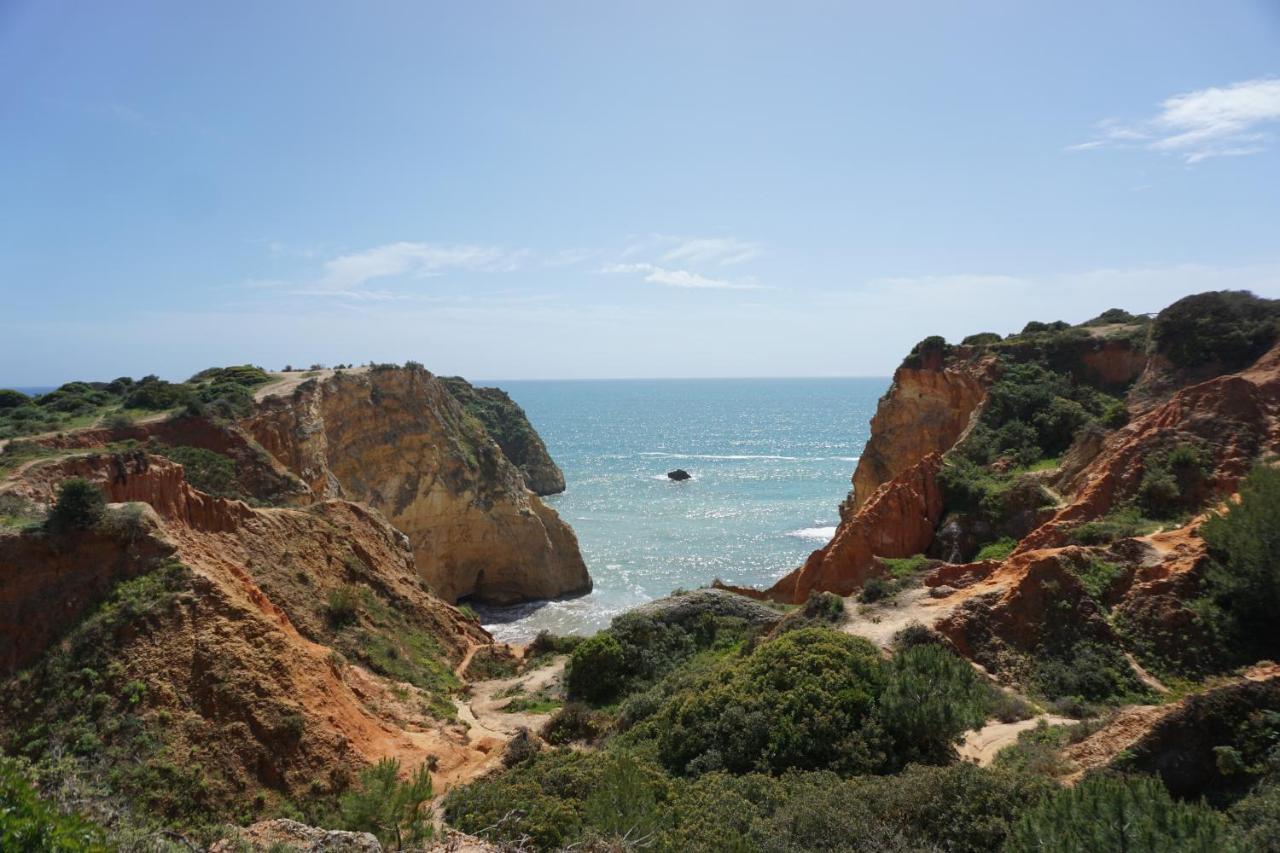 Areia E Sal *
