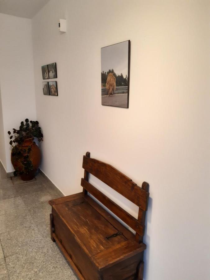 Casa Araci Guest house *