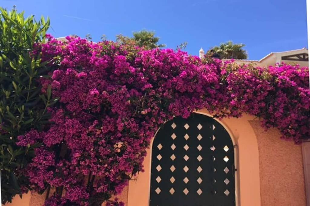 Bela Nova Acacias 22 Praia Da Luz