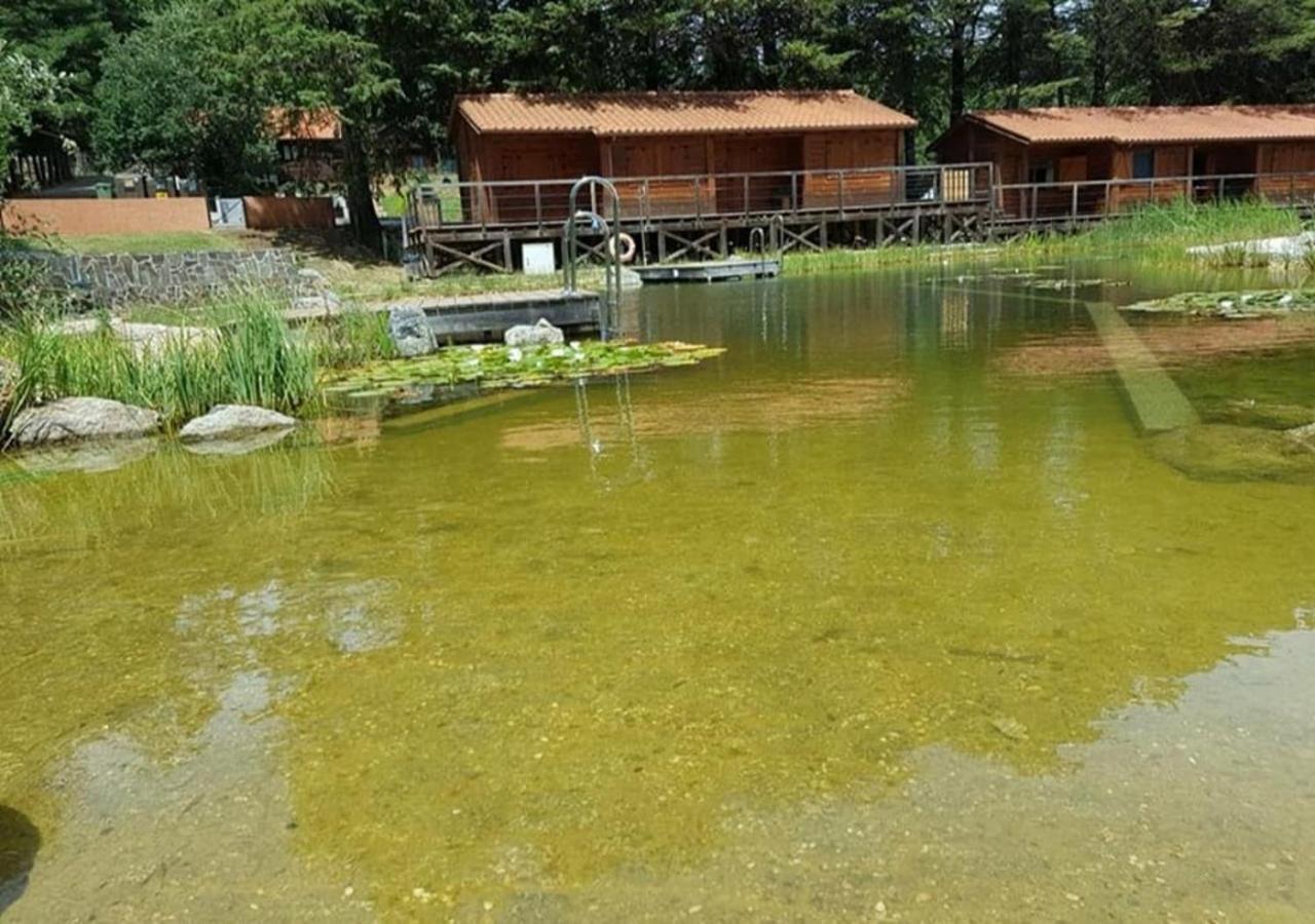 Parque Biologico De Campsite Vinhais