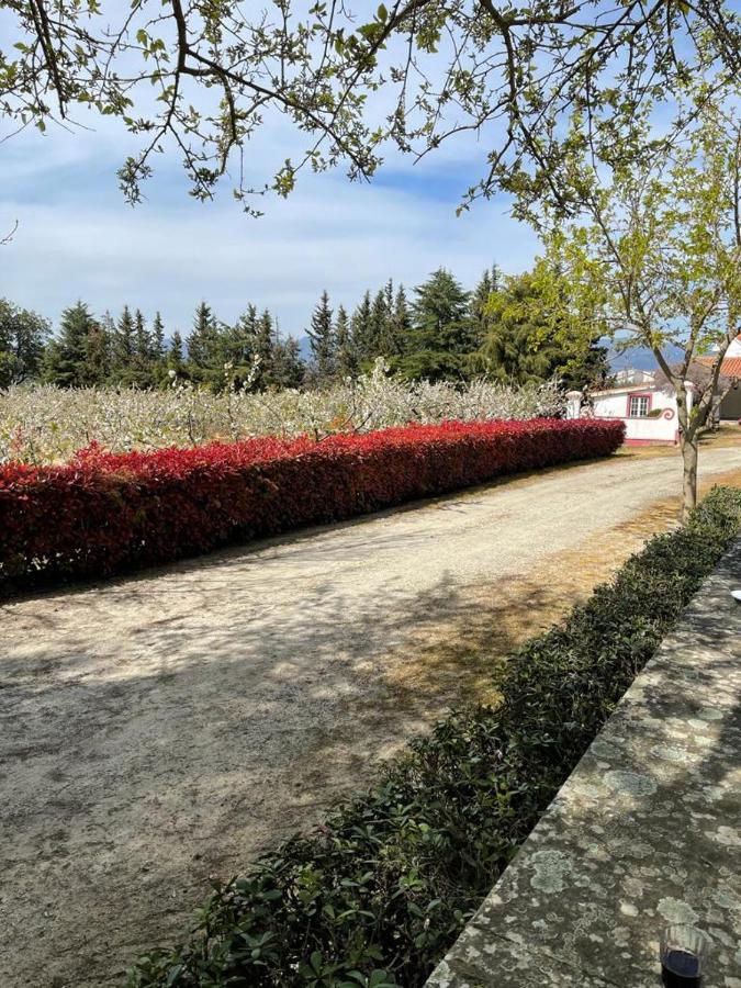 Bed and breakfast Casa Do Cimo 4*