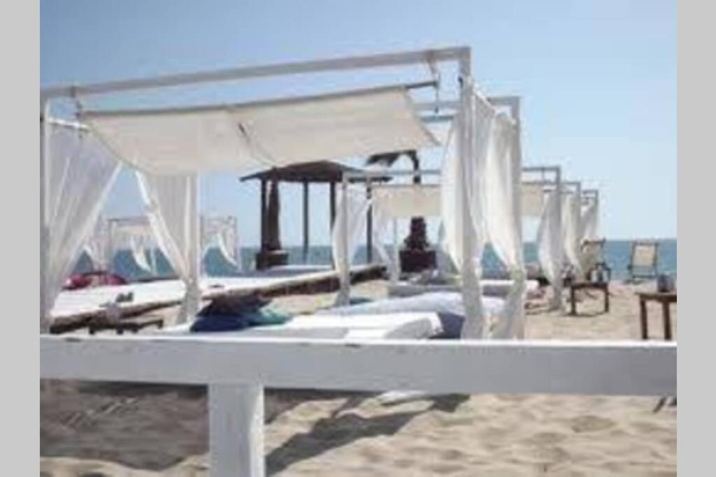 Chalet -guest House - Caparica - - Surf Sun And Lisbon Lovers