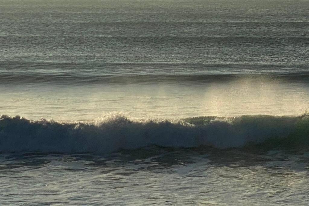 -guest House - Caparica - - Surf Sun And Lisbon Lovers Chalet