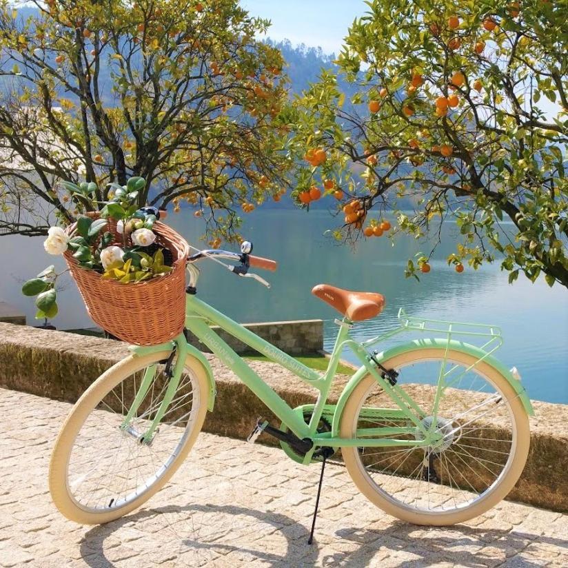 Douro Ribadouro