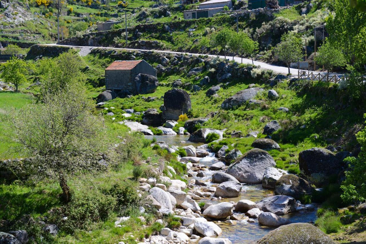 Casa Dos Alcaides Сasa de vacaciones Sabugueiro (Guarda)