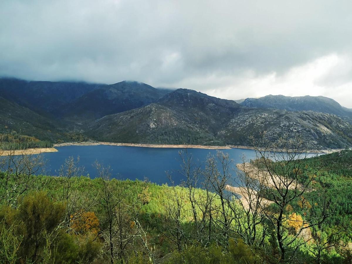 Luna Arcos Nature & Wellness