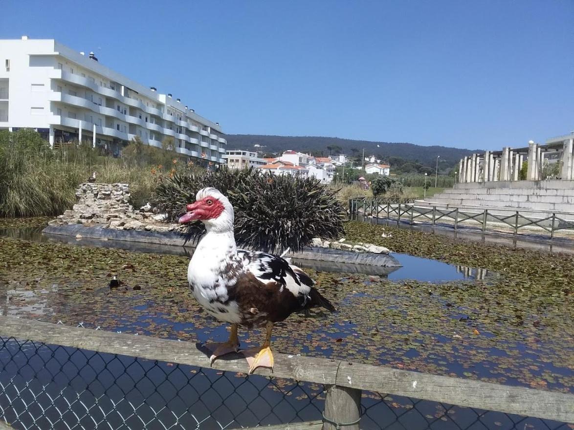 Appartement Atlantic Beach-side *