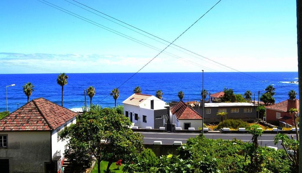 Lazy Lizard By The Ocean Seixal (Madeira)