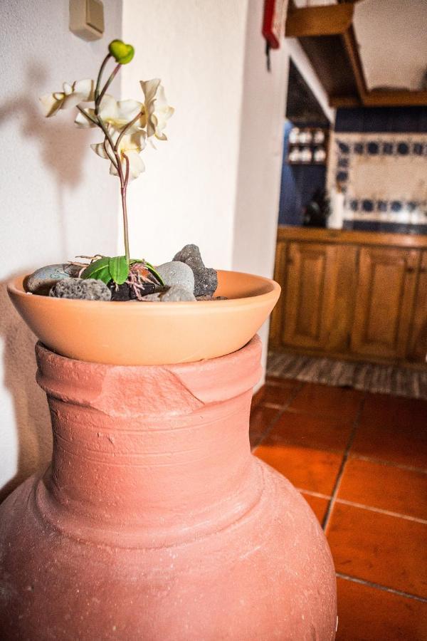 Mosteiros Sea House Holiday home