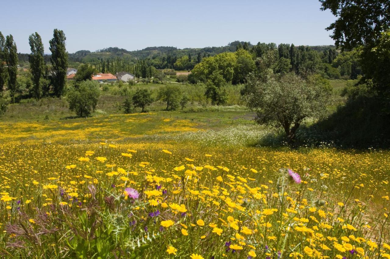 Farm stay Quinta Da Alcaidaria Mor Ourem
