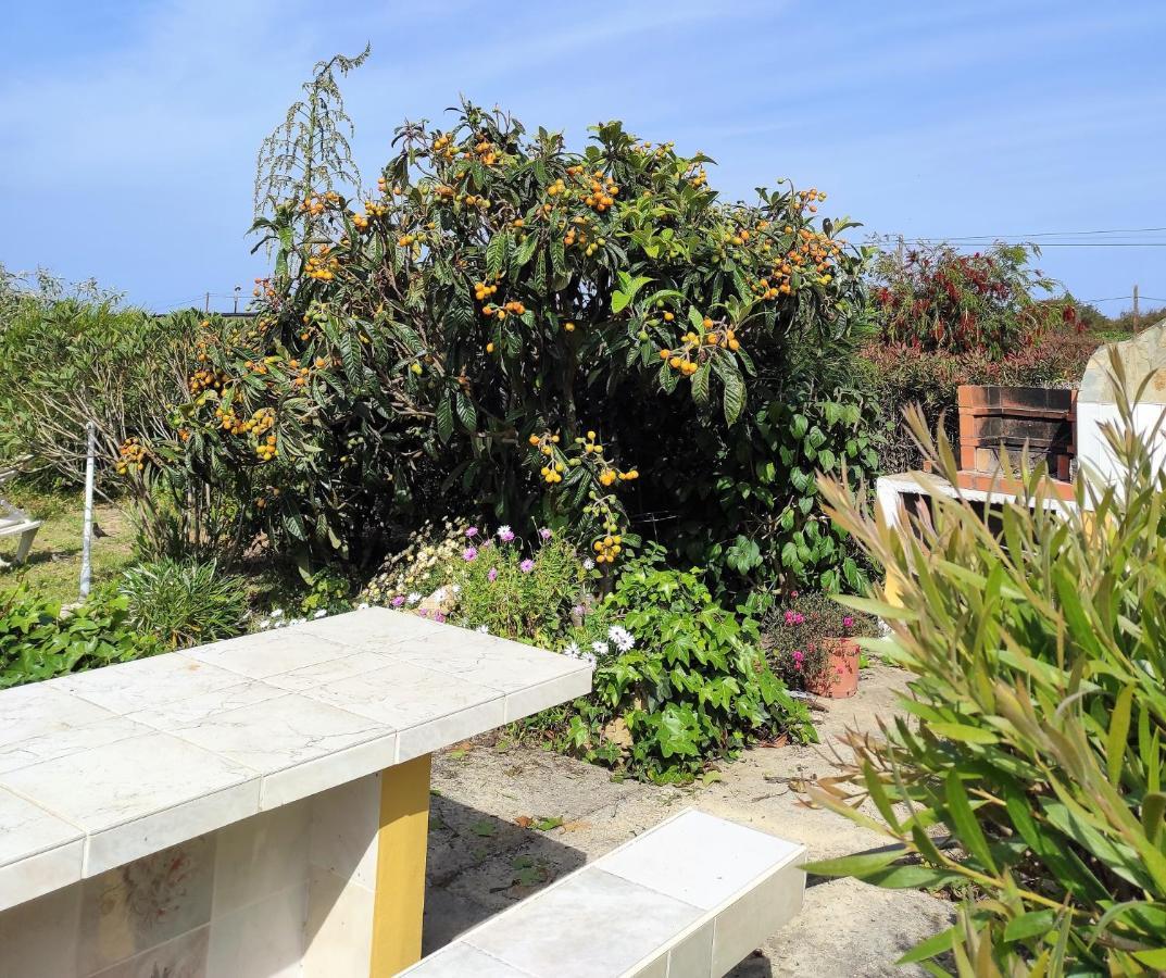 Apartment Na Quinta Altavista Do Carvalhal Zambujeira do Mar