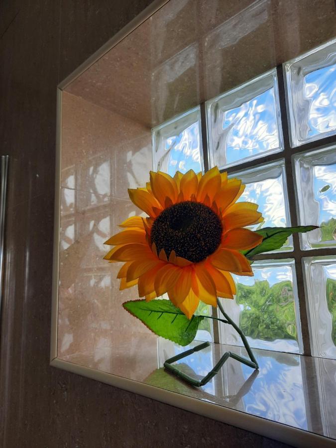 Vakantiehuis Sunflower Sea View With Magnificent Terrace In Serra Da Pescaria, - Portugal Nazaré