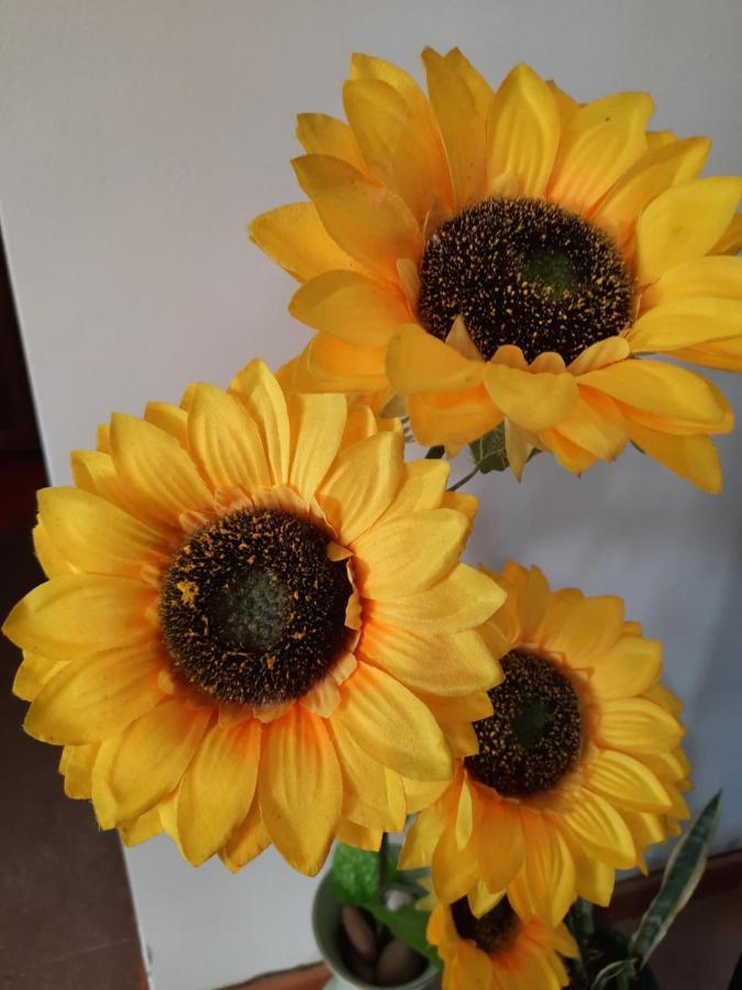 Sunflower Sea View With Magnificent Terrace In Serra Da Pescaria, - Portugal Vakantiehuis *