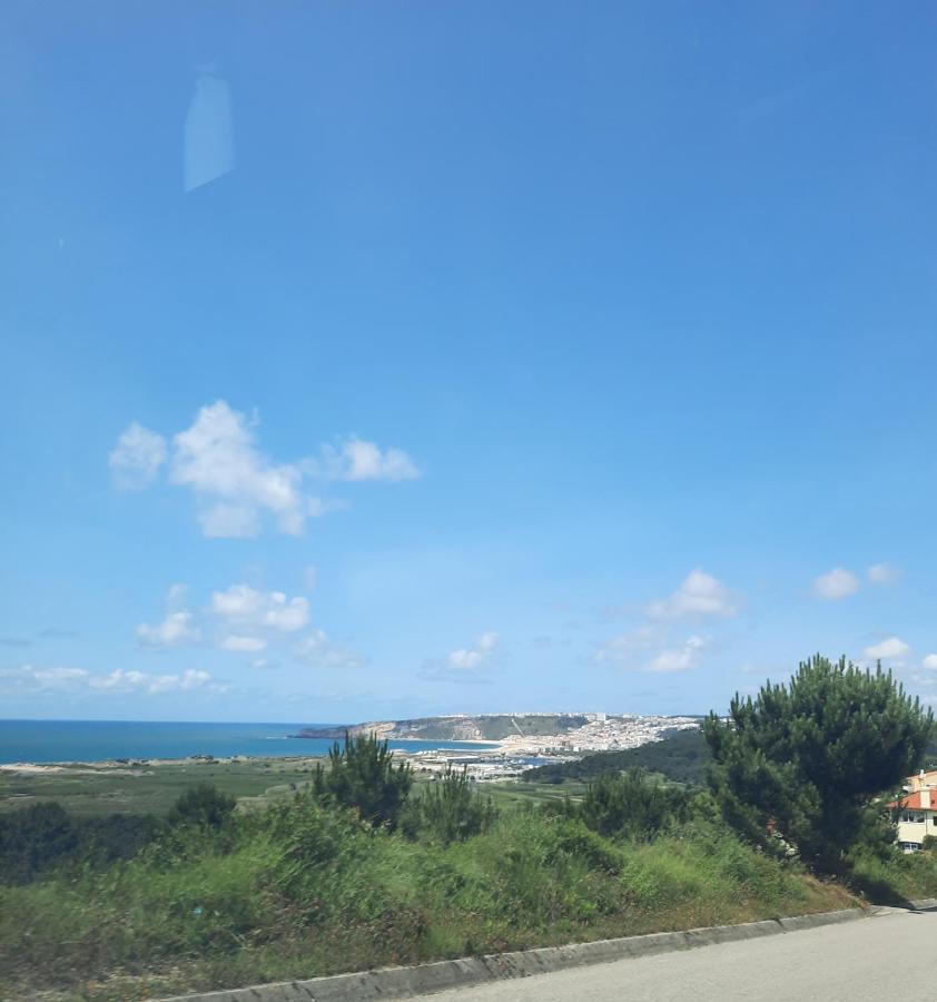 Sunflower Sea View With Magnificent Terrace In Serra Da Pescaria, - Portugal Vakantiehuis