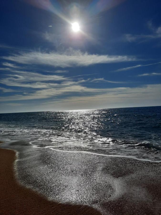 Sunflower Sea View With Magnificent Terrace In Serra Da Pescaria, - Portugal Nazaré
