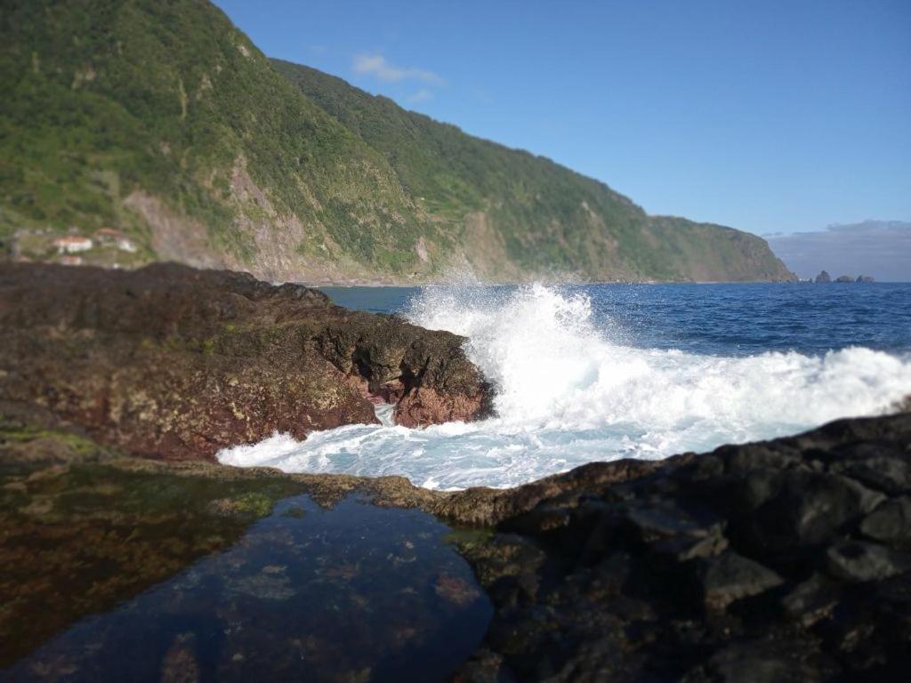 Lazy Lizard By The Ocean Seixal (Madeira)