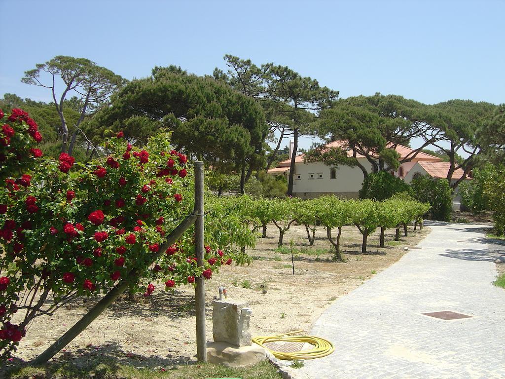 Solar Do Magoito * Sintra
