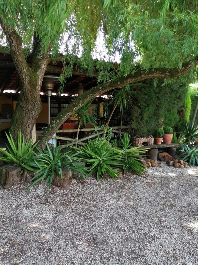 Country house Colmeal Mira (Coimbra)