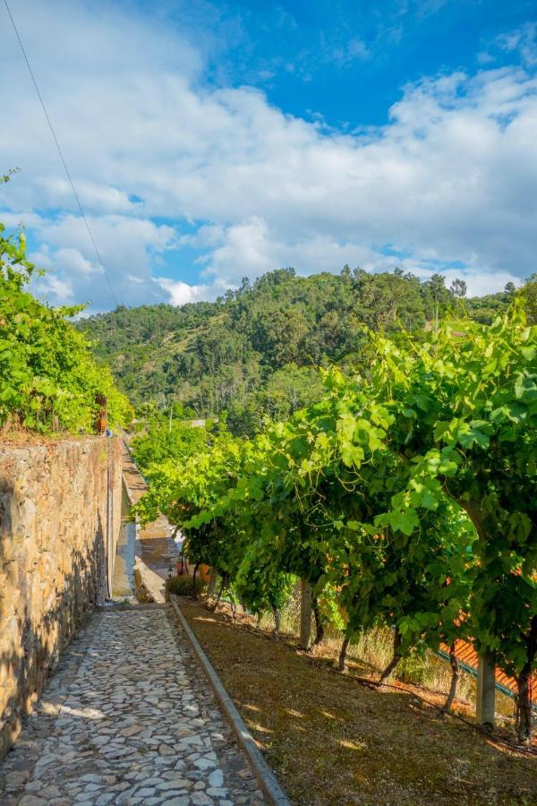 Quinta De Reciao * Lamego