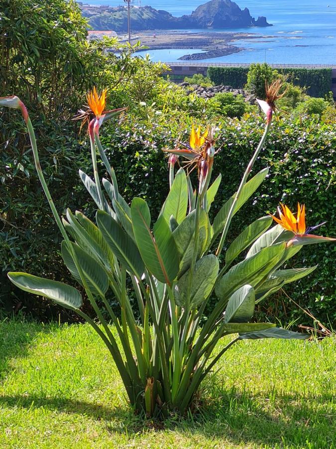 Casa Da Ribeira Bed & Breakfast *