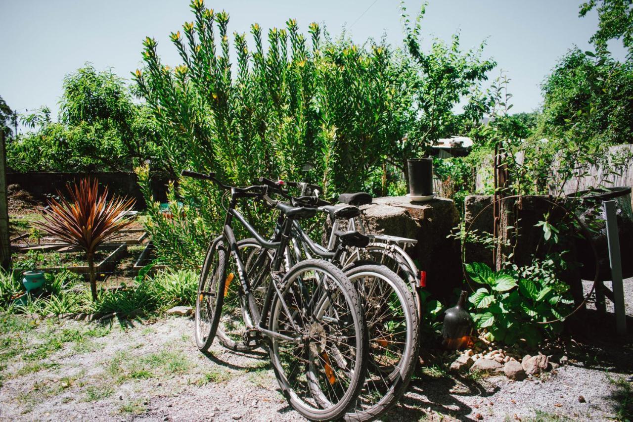 Clementina Holiday home *
