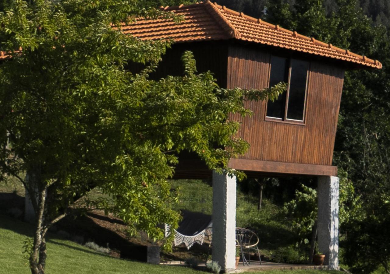 Farm stay Cimo Da Vinha - Nature Spot Castelo de Paiva