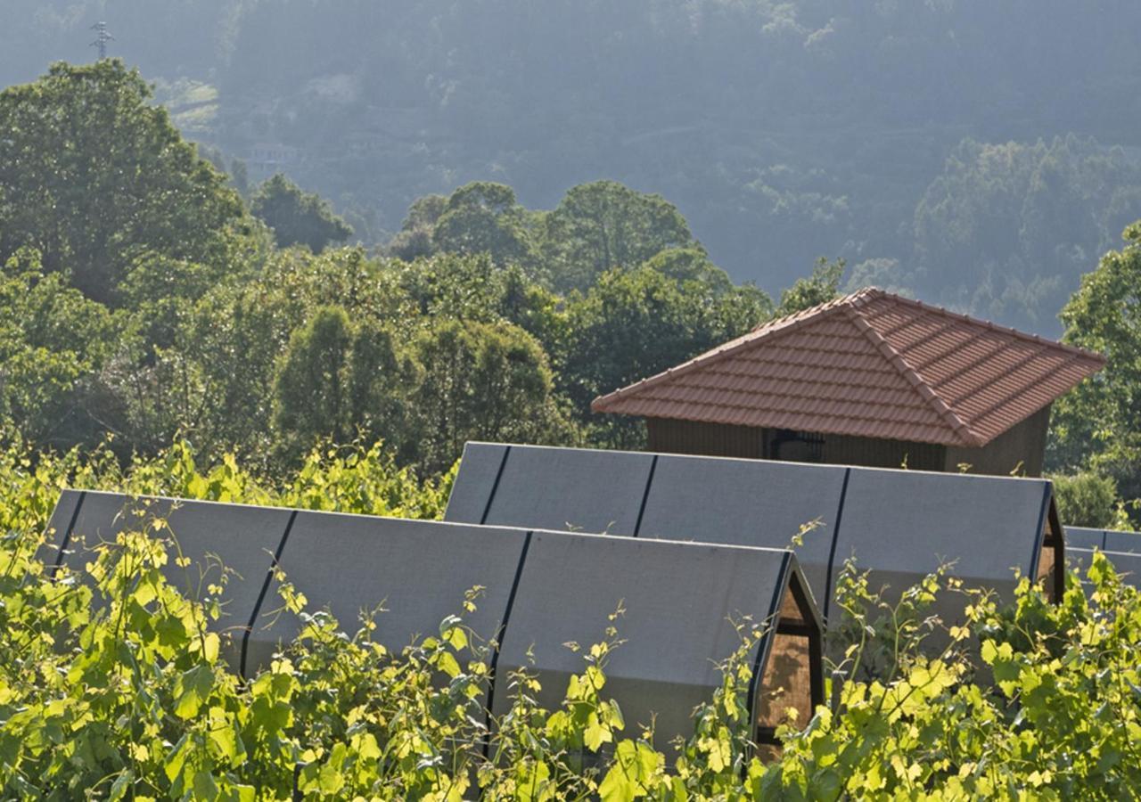 Farm stay Cimo Da Vinha - Nature Spot