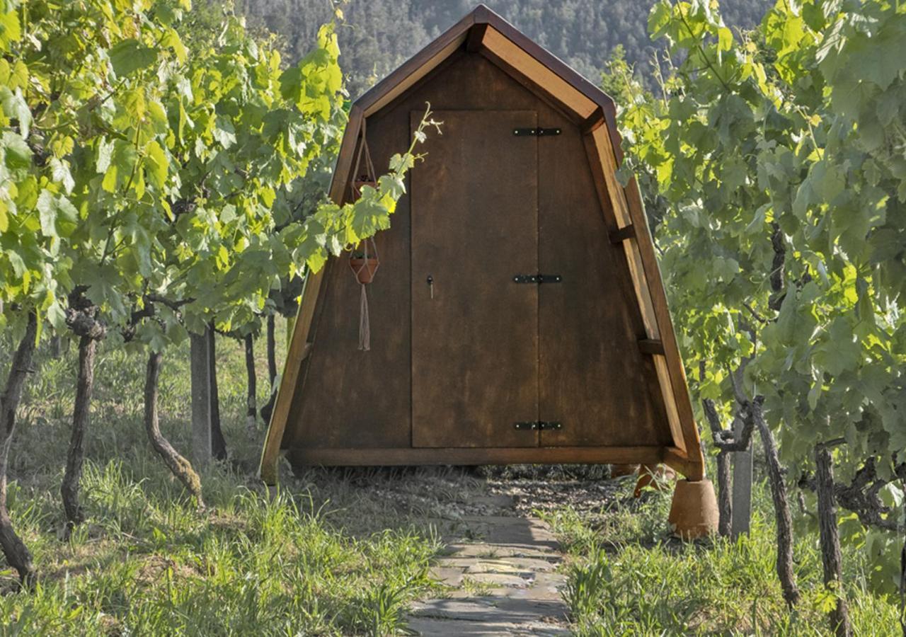 Farm stay Cimo Da Vinha - Nature Spot Castelo de Paiva