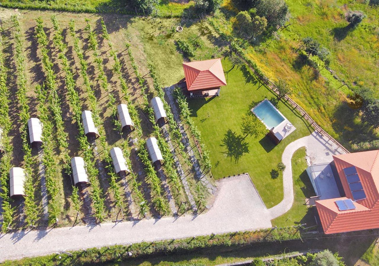 Farm stay Cimo Da Vinha - Nature Spot Castelo de Paiva